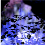 Blue leaf waters-bright 24x24.tif